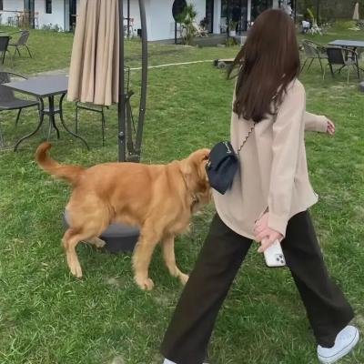 宝贝与我